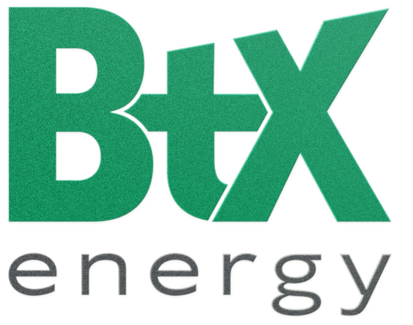 Logo BtX
